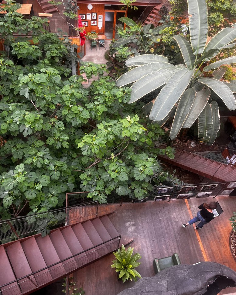 High-angle view of an indoor courtyard at Apocapoc BCN with lush tropical plants and wooden walkways.