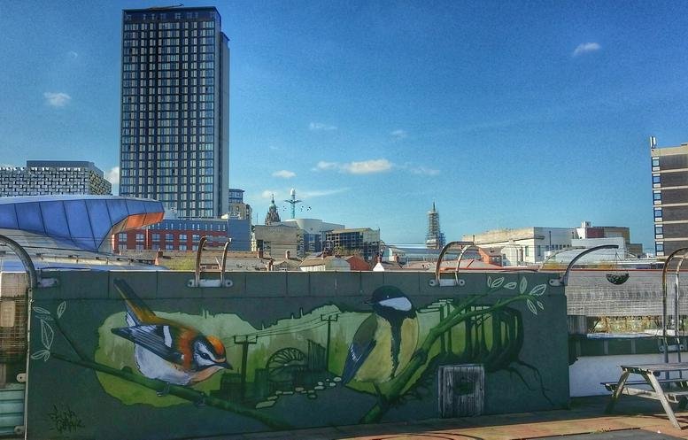 City skyline view from 15 Paternoster Row with a colorful bird mural on the rooftop terrace.