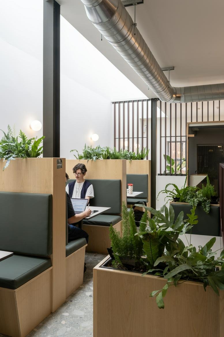 Modern breakout area with wooden booths and indoor plants under a skylight.