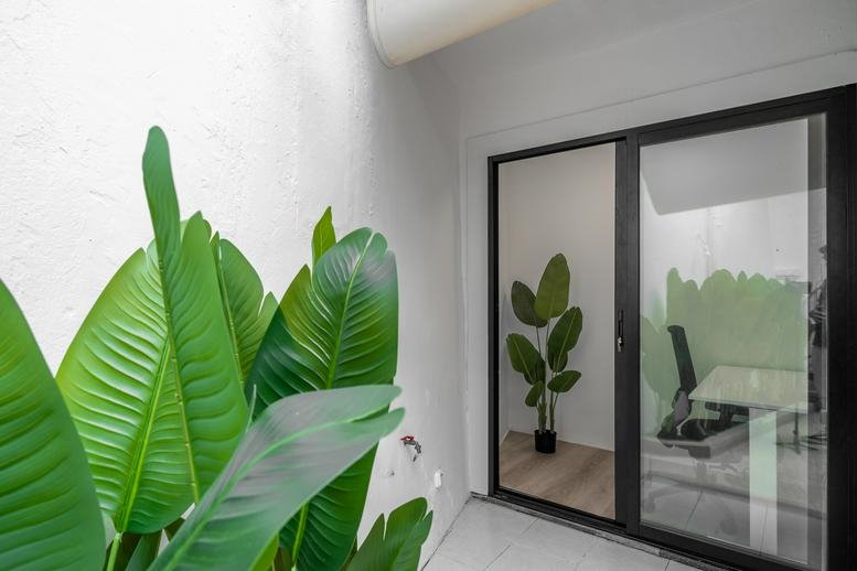 Lush green plants by a glass door at the Madeira Friends Community Hub.