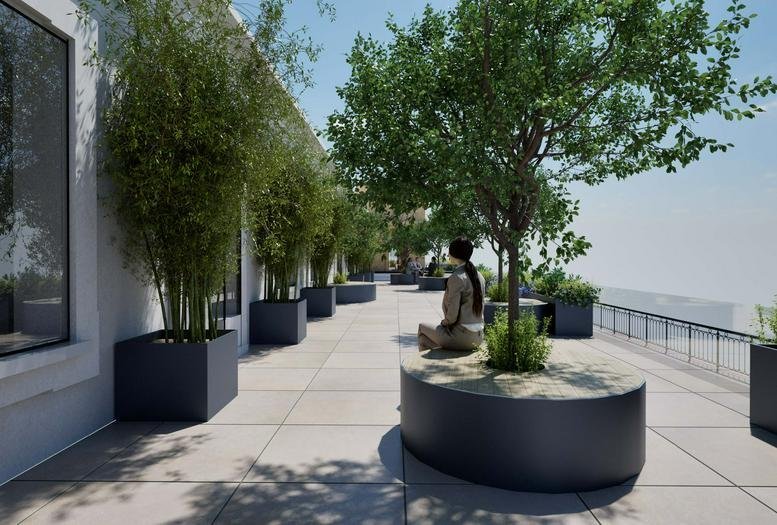 Outdoor terrace path lined with tall bamboo in dark planters.