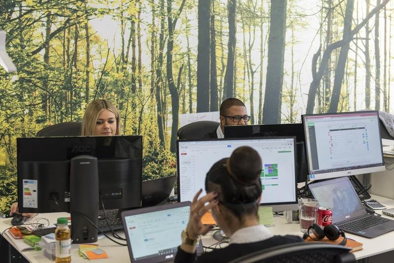 Open-plan workspace at 5th Floor, 43 Whitfield Street with forest mural and multiple computer monitors.