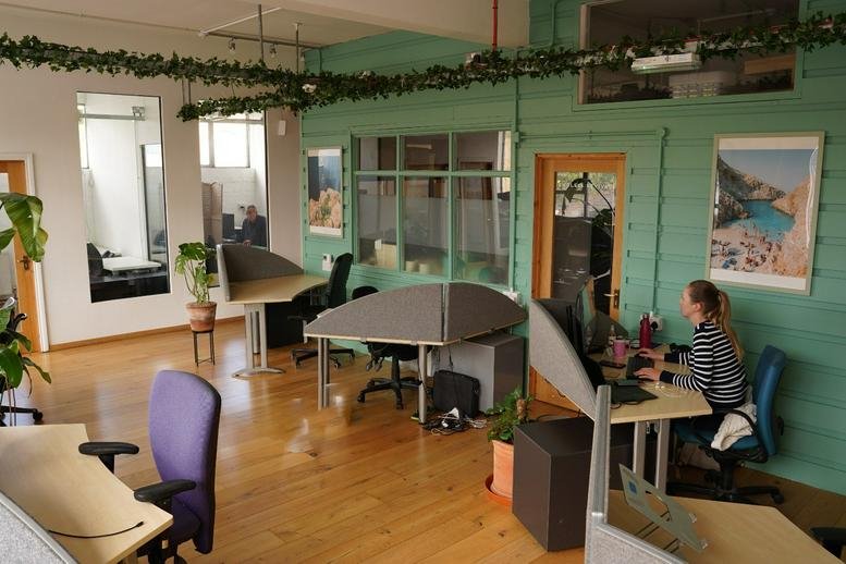Spacious communal office area at 465A Unit 6 Hornsey Road with green walls, wooden floors, and hanging vines.
