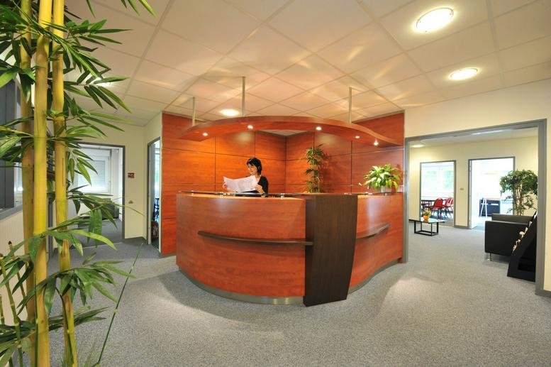 Reception area at 5 Boulevard Vincent Gâche with a curved wood desk, bamboo plants, and warm lighting.