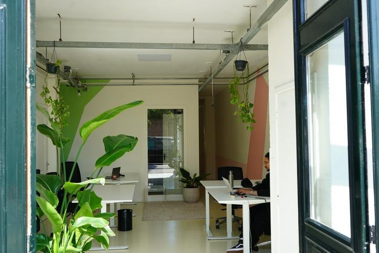 Bright open-plan office of Julu Creations with white desks, indoor plants, and natural light.