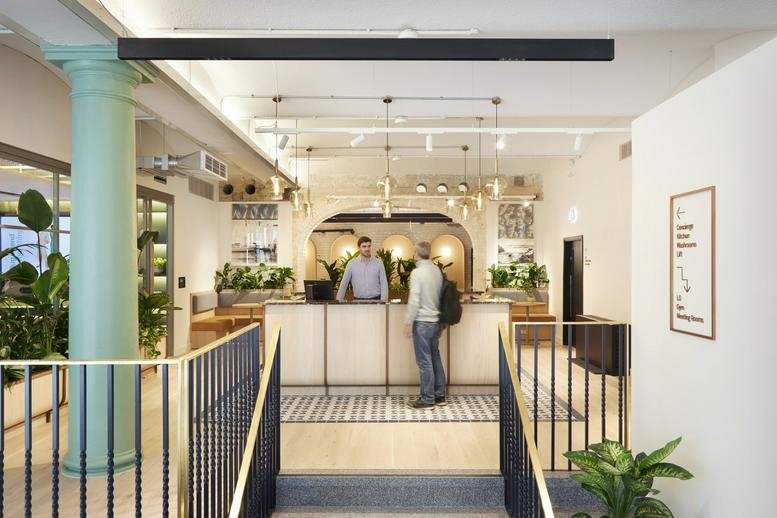 Spacious timber reception area with front desk and greenery at 6-8 Greencoat Place.