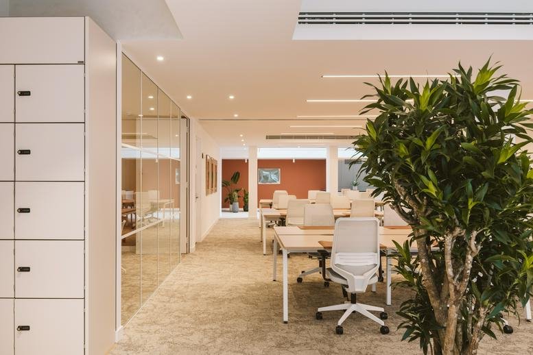 Spacious open-plan workspace at 74A, Charlotte Street, London featuring sleek white desks and a large leafy plant.