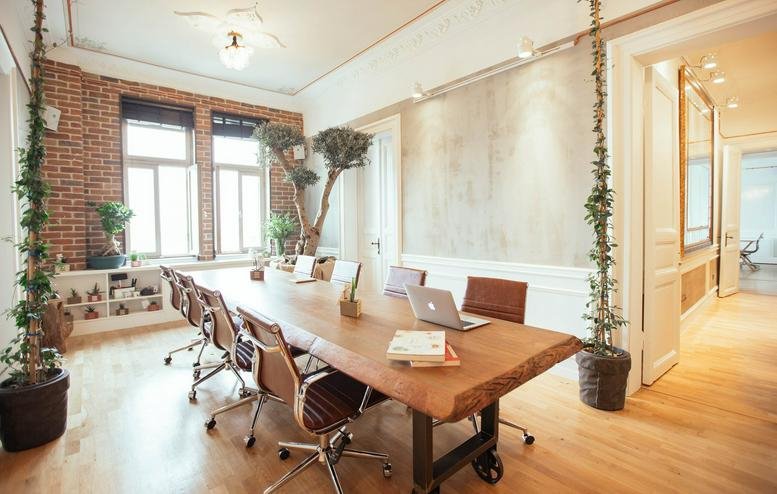 Spacious boardroom at Beyoglu Nejat Eczacibasi Binasi featuring a live-edge wooden table and tall indoor plants.