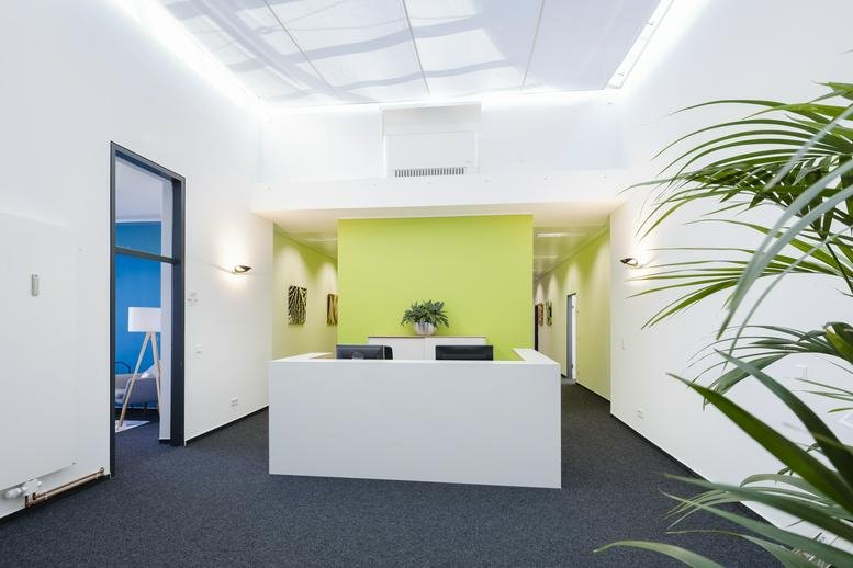 Professional reception desk at Hohenstaufenring 62 with a green accent wall and indoor plants.