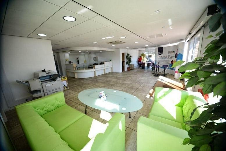 Lounge area with vibrant lime green sofas, an oval coffee table, and indoor plants.