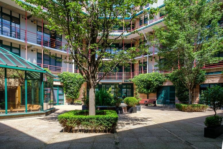 Exterior courtyard of Plaza 535 with a central tree, manicured hedges, and glass-fronted buildings.