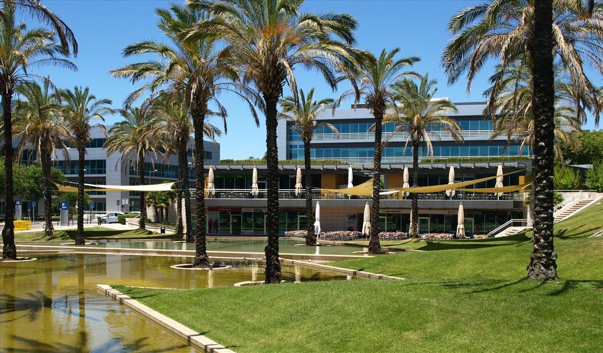 Exterior view of the glass-facade Lagoas Park, Building 7 surrounded by palm trees and a reflecting pool.
