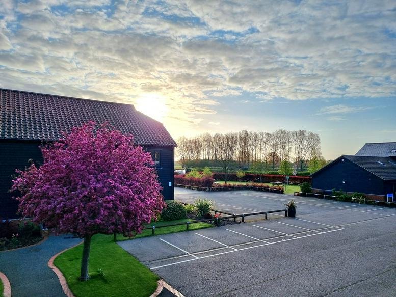 Exterior view of the black timber-clad buildings at Lodge Park featuring a vibrant pink blossoming tree.