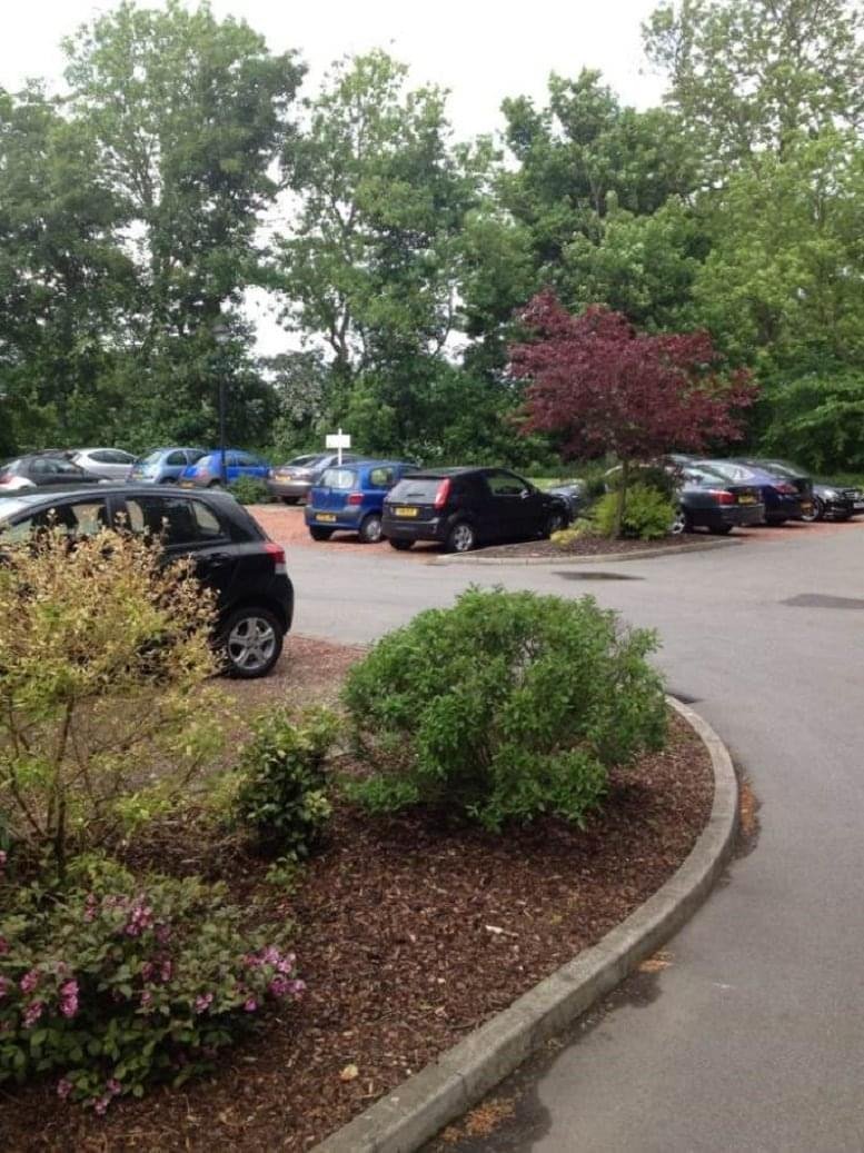 Exterior parking area at Unit 3, Bramley Grange, surrounded by lush green trees and landscaping.