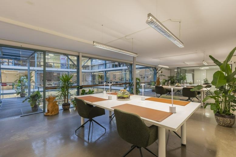 Spacious open-plan coworking area at 21 Vijfwindgatenstraat, Gent-Zuid with lush plants and large windows.