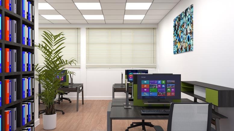 Open-plan office with desks, computers, and a tall indoor plant next to a large bookcase.