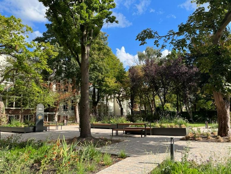 Lush green courtyard garden surrounded by office buildings.