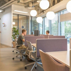 Executive office to lease in Sheffield