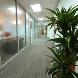 Offices at 1 Falcon Road, Adelaide House, Hawthorn Business Park