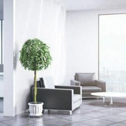 Office accomodation - Warsaw