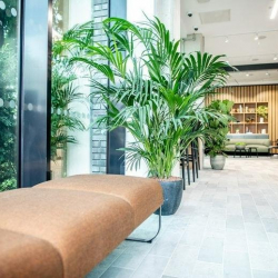 Interior of 100 Bollo Lane, Chiswick Works