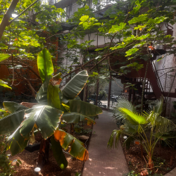 Serviced office - Barcelona