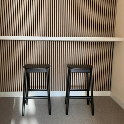 Executive suites to rent in The Hague (Den Haag)