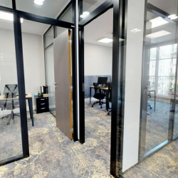 Executive offices to lease in Paris
