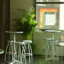 Executive office centres in central Lyon
