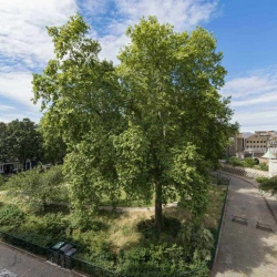 Serviced offices in central London