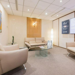 121 avenue de Champs Elysees serviced offices