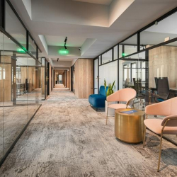 Executive office - Sofia