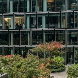 Executive office in Frankfurt