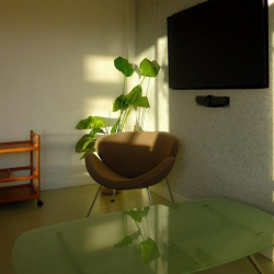 Cozy corner lounge with a low glass table, potted plant, and wall-mounted monitor.