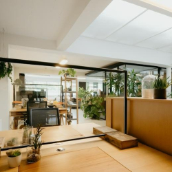 Modern workstation area with wooden desks, green plants, and glass privacy screens.