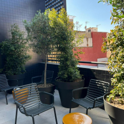 Office suite to lease in Barcelona