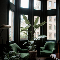 Interior of 15, Hanover Square