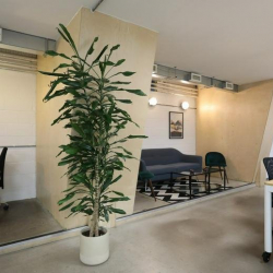 Serviced offices to rent in 