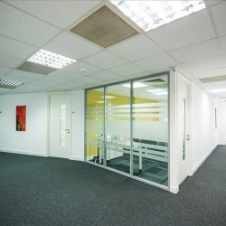 Executive suite in Bucharest