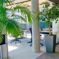 Serviced offices to rent in 
