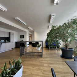 19, Hirschstettner Straße, Donaustadt office spaces