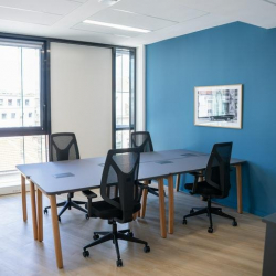 Office suites to lease in Lyon