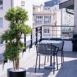 Serviced office - Lyon