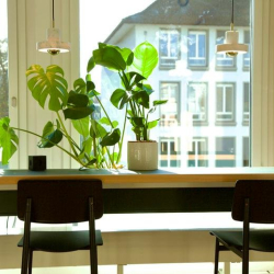 Offices at 21, Talacker, FlexOffice Paradeplatz