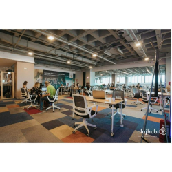 22-26, Strada Regele Ferdinand, 3rd floor executive suites