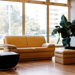 Sunlit lounge area featuring a tan leather sofa, designer black chair, and a large potted plant.