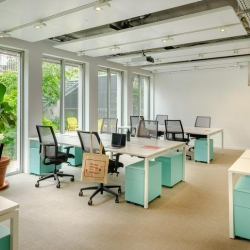 Executive suite to rent in Paris