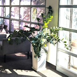 Executive offices to let in Kallithea