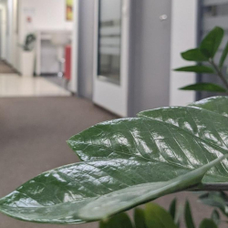 Offices at 24, Λαγουμιτζή