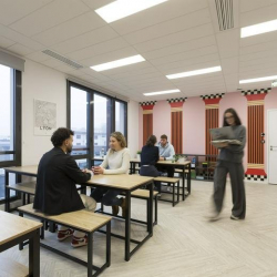 Executive office in Lyon
